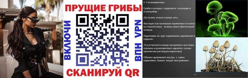 Галлюциногенные грибы Psilocybine cubensis Новоалександровск